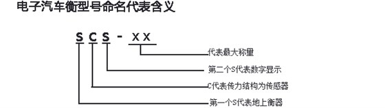 圖2）電子汽車衡型號命名代表含義