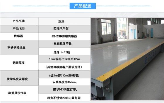 防爆汽車衡