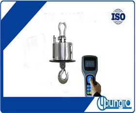 OCS-SZ-HKC耐高溫無線遙控電子吊秤