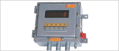 隔爆型防爆專用稱重顯示器插圖