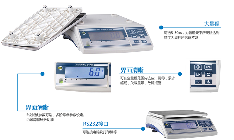 DDS電子天平系列