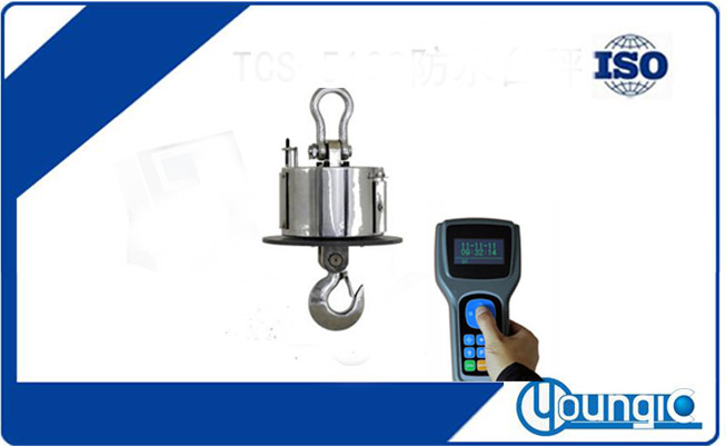 OCS-SZ-HKC耐高溫無線遙控電子吊秤