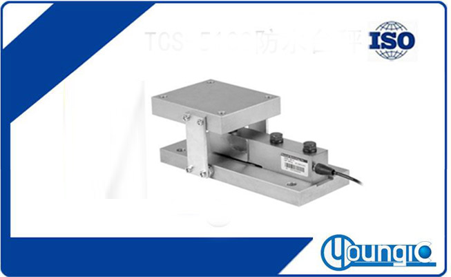 YJH8C型動態稱重模塊